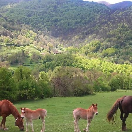 Mas Regort Vallfogona De Riucorb Ngoại thất bức ảnh